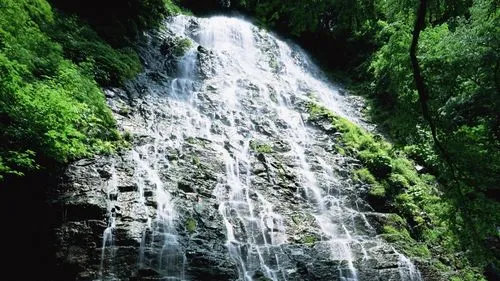 科技电子节能